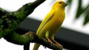 Kolik může žít místnost